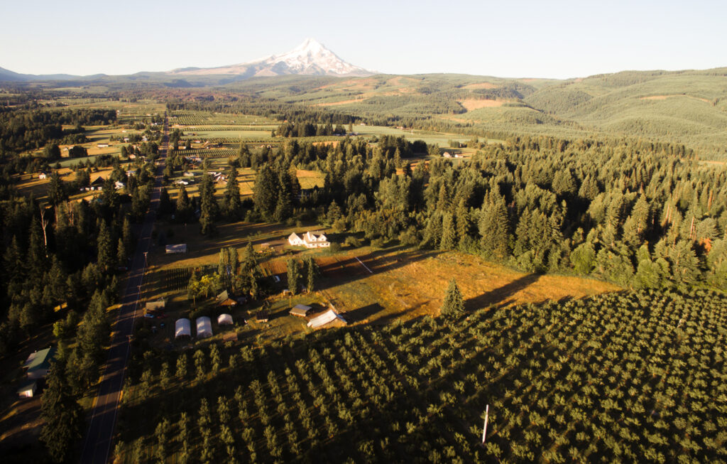 The 2022-2023 Oregon Farm and Forest  Land Use Report